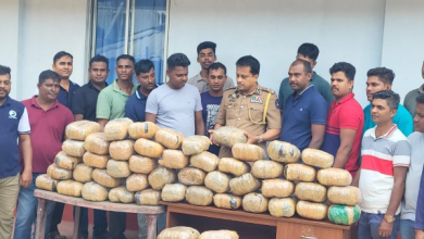 கிளிநொச்சியில் 131 கிலோ கேரளா கஞ்சா மீட்பு