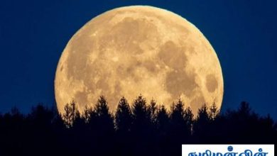 புதுவருடத்தில் வானில் தோன்றவுள்ள நிகழ்வு