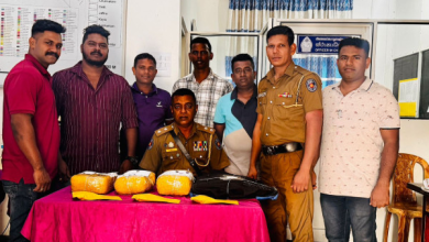 கஞ்சாவுடன் நல்லூர் பிரதேச சபை உறுப்பினர் கைது