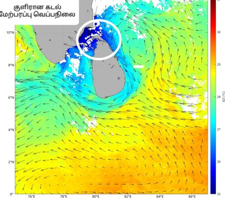 வடக்குக் கடலில் ஏற்பட்டுள்ள திடீர் குளிர்ச்சி; வானிலையில் பாரிய மாற்றங்கள்