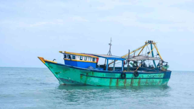 இலங்கை கடற்பரப்பில் 11 இந்திய மீனவர்கள் கைது