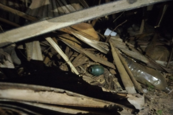 யாழ்-ஆழியவளையில் கைக்குண்டு மீட்பு