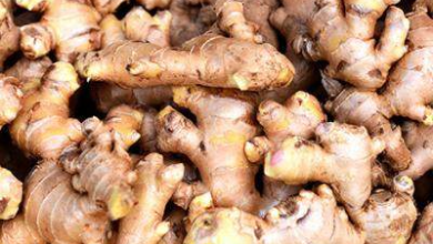 உள்ளூர் சந்தையில் இஞ்சி விலை உயர்வு