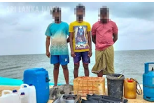 மன்னாரில் ஆமை இறைச்சியுடன் மூவர் கைது