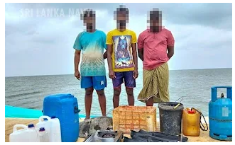 மன்னாரில் ஆமை இறைச்சியுடன் மூவர் கைது