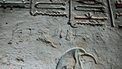 எகிப்து கல்லறை சுவர்களில் தமிழ் எழுத்துகள் கண்டுபிடிப்பு/Tamil writings discovered on Egyptian tomb walls