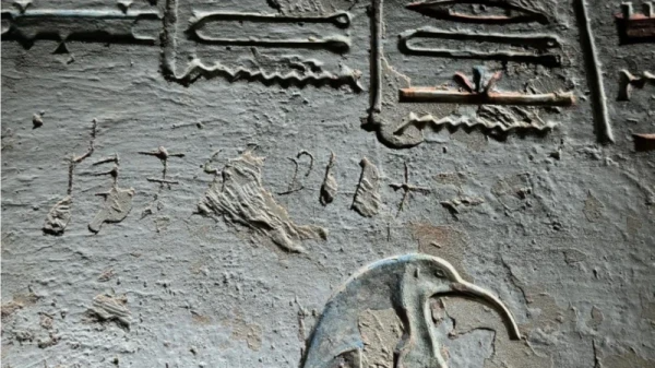 எகிப்து கல்லறை சுவர்களில் தமிழ் எழுத்துகள் கண்டுபிடிப்பு/Tamil writings discovered on Egyptian tomb walls