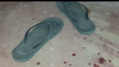 மருமகனின் வாள்வெட்டில் மாமியார் பலி/Mother-in-law dies after being stabbed by son-in-law