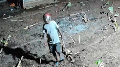 வவுனியாவில் நள்ளிரவு அட்டூழியம்: பெண்ணின் தொழில் சேதம், விசாரணை தீவிரம்