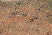 மன்னார் வீதியில் சிதறிக்கிடந்த மனித உடல் பாகங்கள்