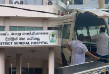 வவுனியாவில் குளவி கொட்டியதில் 9 பேர் வைத்தியசாலையில் அனுமதி/9 people admitted to hospital after wasp sting in Vavuniya