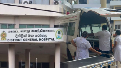 வவுனியாவில் குளவி கொட்டியதில் 9 பேர் வைத்தியசாலையில் அனுமதி 2 வவுனியாவில் குளவி கொட்டியதில் 9 பேர் வைத்தியசாலையில் அனுமதி/9 people admitted to hospital after wasp sting in Vavuniya