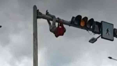 வீதி விளக்கு கம்பத்தில் ஆபத்தான சாகசம் – முடிவில் நடந்த அதிர்ச்சி