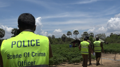 குடும்பஸ்தர் வெட்டிக் கொலை! களுவாஞ்சிகுடியில் பரபரப்பு