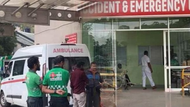 சட்டவிரோத மது ஆலையை சுற்றிவளைக்க சென்ற பொலிஸாரை தாக்கிய குளவிகள்/Wasps attack police who went to surround an illegal liquor factory