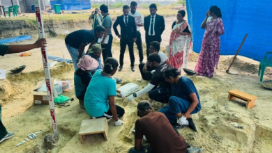 செம்மணியில் இன்று குழந்தையின் எம்புக்கூடு மீட்பு/Baby's skull recovered in Semmani today