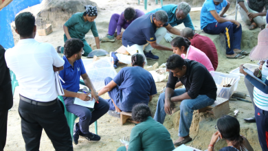 செம்மணியில் நான்கு குழந்தைகளின் என்பு கூடுகள் அடையாளம்