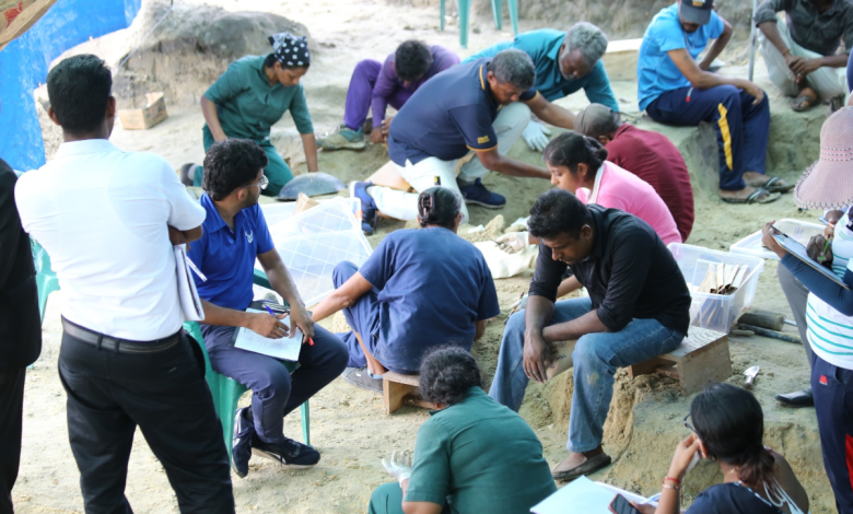 செம்மணியில் நான்கு குழந்தைகளின் என்பு கூடுகள் அடையாளம் செம்மணியில் நான்கு குழந்தைகளின் என்பு கூடுகள் அடையாளம்