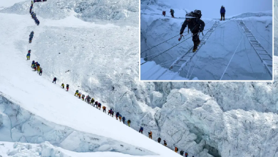 ஒரே நாளில் 274 பேர் எவரெஸ்ட் சிகரம் ஏறி சாதனை/274 people climb Mount Everest in a single day, setting a record